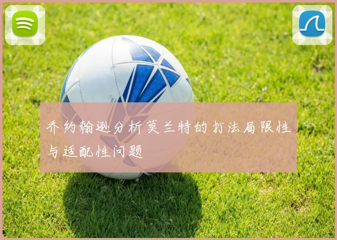 乔约翰逊分析莫兰特的打法局限性与适配性问题